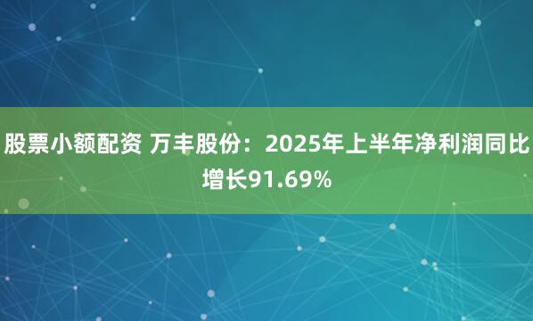 股票小额配资 万丰股份：2025年上半年净利润同比增长91.69%