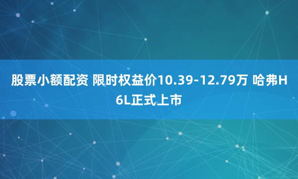 股票小额配资 限时权益价10.39-12.79万 哈弗H6L正式上市