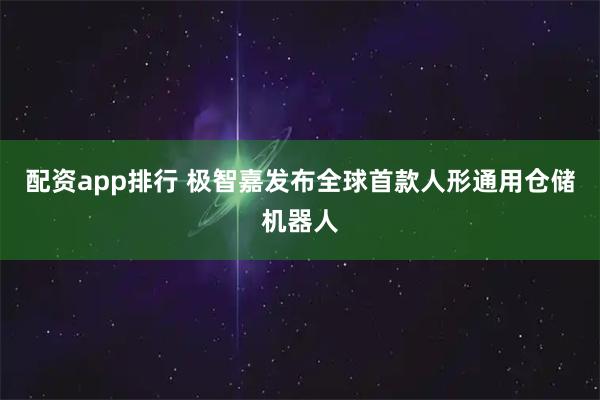 配资app排行 极智嘉发布全球首款人形通用仓储机器人